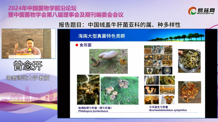 课程推荐|中国绒盖牛肝菌亚科的属、种多样性