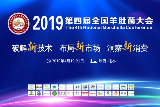 2019第四届全国羊肚菌大会