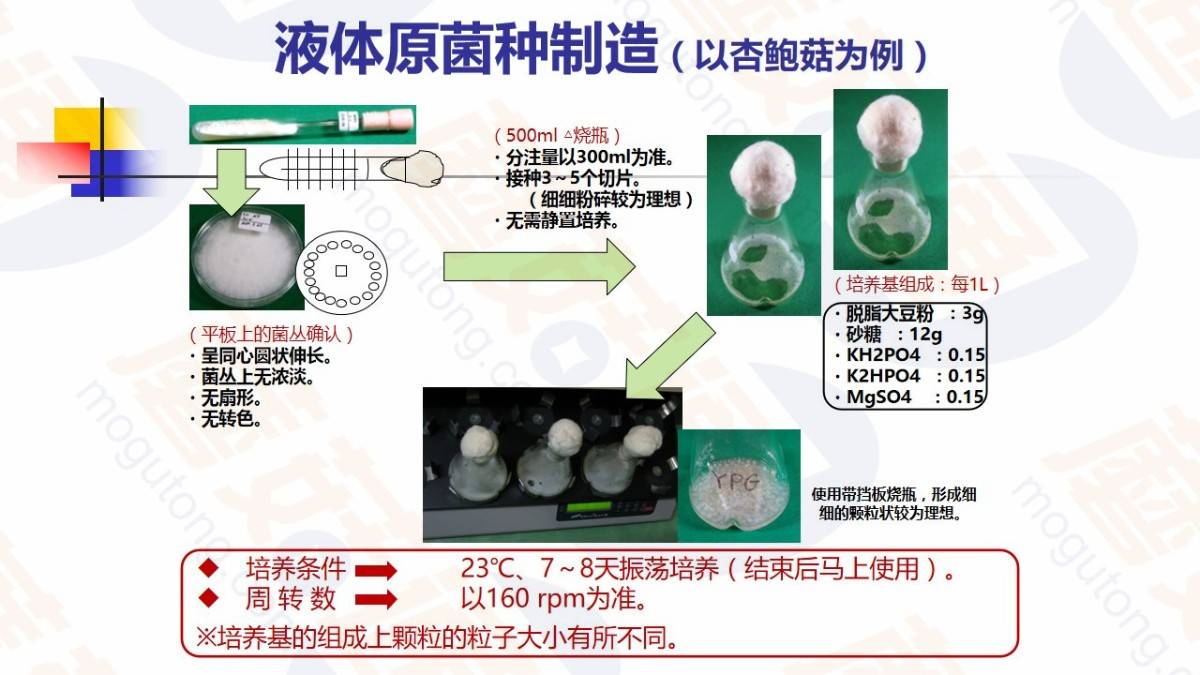 食用菌蒙古包灭菌法图片