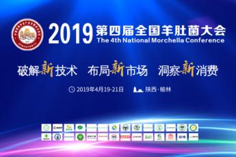 2019第四届全国羊肚菌大会