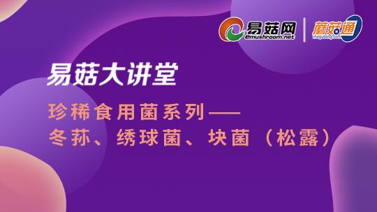 易菇大讲堂——冬荪、绣球菌、块菌珍稀食用菌系列