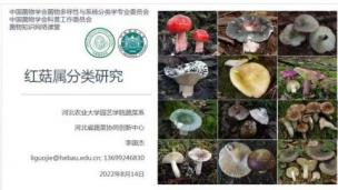 菌物知识网络课堂：李国杰：红菇属分类研究