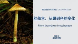 菌物知识网络课堂：范宇光：丝盖伞——从属到科的变化