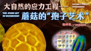菌物知识网络课堂：大自然的应力工程——蘑菇的“孢子艺术”